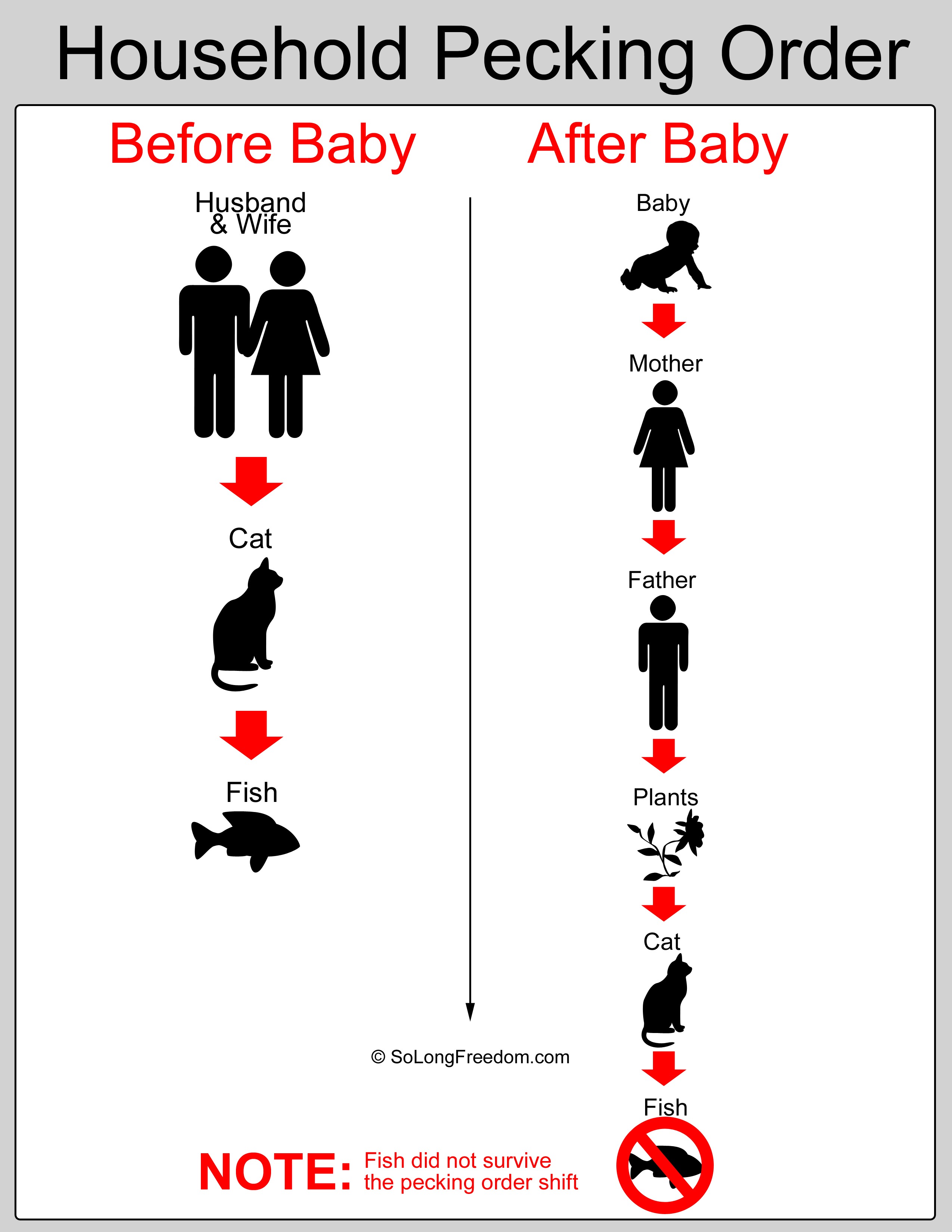 Corporate Flow Chart Funny